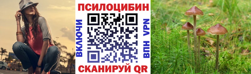 Галлюциногенные грибы MAGIC MUSHROOMS  ОМГ ОМГ маркетплейс  Власиха 
